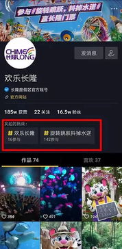 (专注破解游戏的全新应用,玩转游戏世界的挑战)专注破解游戏的全新应用，玩转游戏世界的挑战