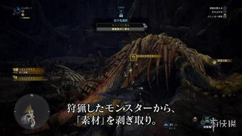(神秘怪兽事件)神秘怪兽防灾科学调查所：解密未知生物的隐秘世界