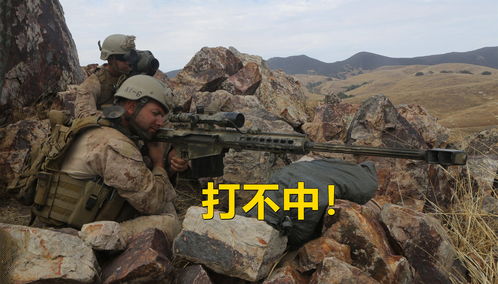 (战略狙击手是什么意思)狙击手和战略狙击手的异同点分析及技能要求
