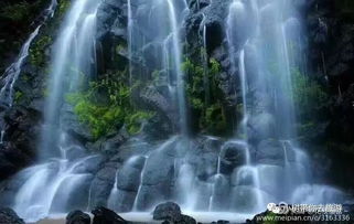 (神秘九寨什么意思)探秘神秘九妖，感受千年手游魅力！