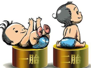 (小锋是谁)小锋小志的生活来源：勤劳努力，人脉广泛，多元职业经验。