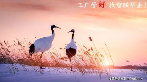 (跨越山海,见证理想)跨越山海，一念励志，铸就霸气人生。