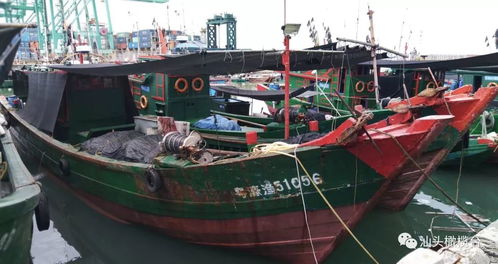 福建沿海渔船停航最新消息今天：受强风影响，多地局部暂停出海作业。