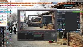(我的公司996金钱)谁是创作《我的公司996金鱼》的艺术家？