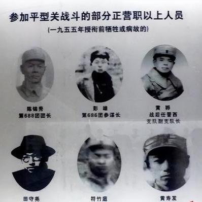 凤凰重生大决战游戏：重塑辉煌传奇，挑战命运共创辉煌新篇章！