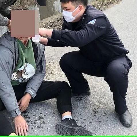 (猫宅日记官方下载)猫宅日记旧下载：畅游回忆的时光隧道