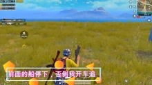 游戏艾兰岛中的象草叶片是什么样子，如何辨别？