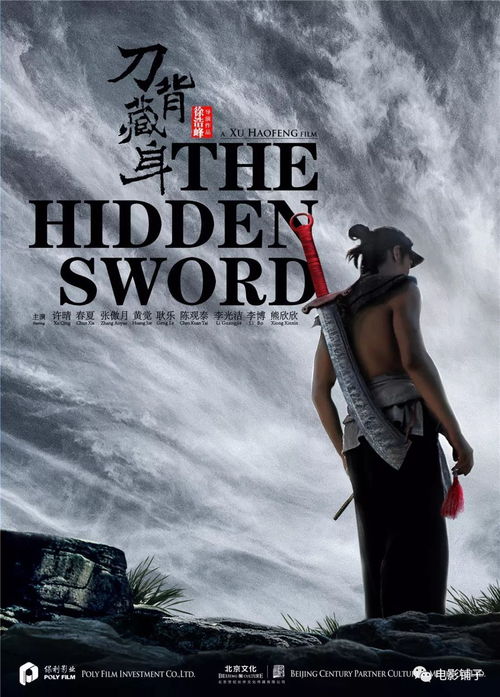 (风之刀-武林启示录)风之刀：武林启示录剧情介绍，武侠世界的教义与故事揭秘