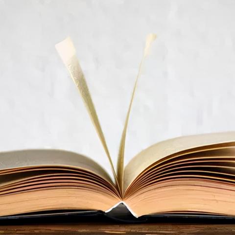 (乐高纸模图纸)2025年乐高新品抢先看：纸上模型与虚拟现实结合打造全新体验