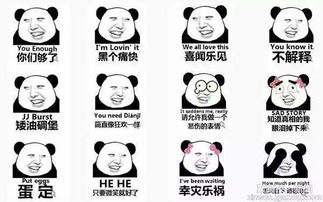 快来一起分享你的表情包，带上你的幽默感和创意，让我们一起乐翻天！