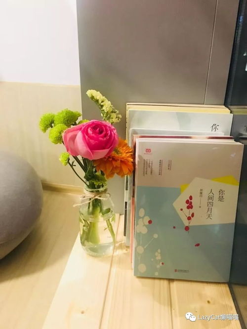 喵喵甜品店无广告，尽享自然恬静的甜蜜时光，品味心灵的美好滋味