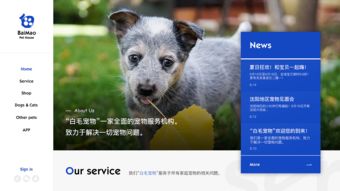 (宠物之家网页)宠物之家官网：专为爱宠打造的完美家园