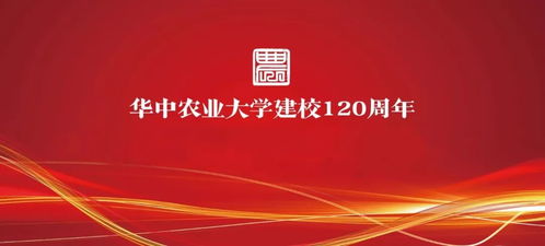 忘却前夜周年庆几号：重温岁月流逝，岁月静好，周年庆典即将举行