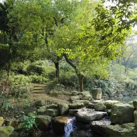 探寻仙境之谜，感受奇兵力量——仙境奇兵手游全新上线，等你来挑战！