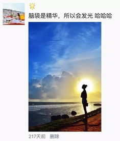 (晴空下的幸福)在晴空之下：追寻梦想与希望的心灵旅程