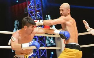 (搏击之王龙卷风)搏击3龙之荣耀高清版免费观看全集大厅推荐