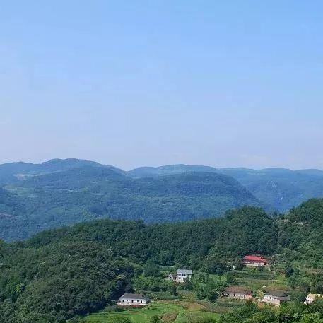 探秘原始蛮荒：在未被人类触及的自然之地，发现生命的真实奥秘