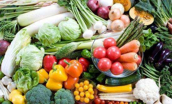 (蔬菜乐园长什么样)探寻美食乐园：探访蔬菜庄园01，感受自然与美味的完美结合