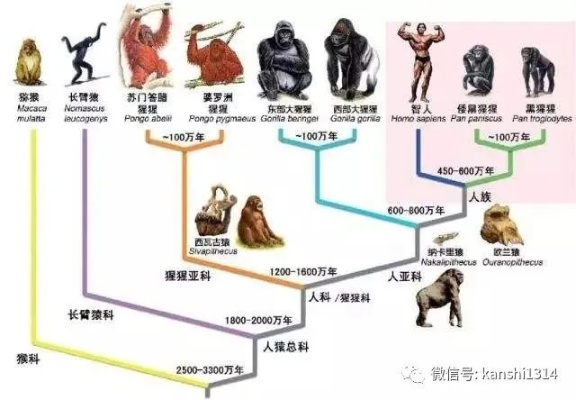 第七文明人物等级一览：探寻历史上的伟人及其在人类文明演变中的重要作用