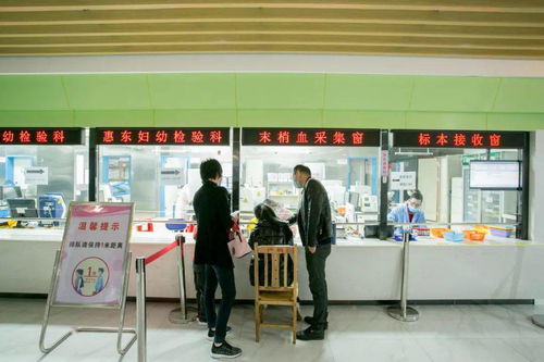 新世纪妇儿医院电话—为您专业的母婴健康保驾护航，全天候在线预约服务！