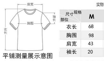 (袖珍衣服)一步一步详解：如何在袖珍区调整中文设定以优化使用体验