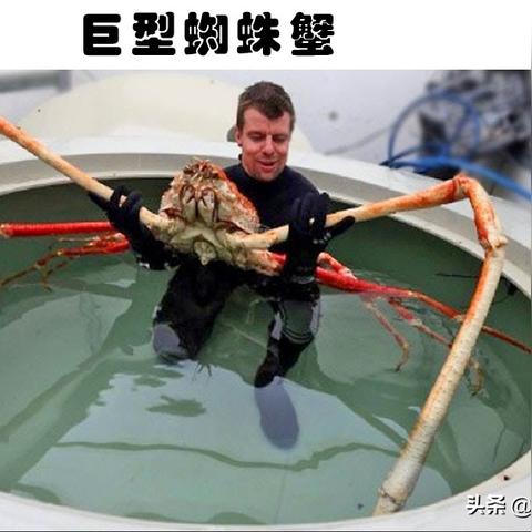 探索神奇水域进化的奥秘：揭示水下生态系统如何不断变迁与适应