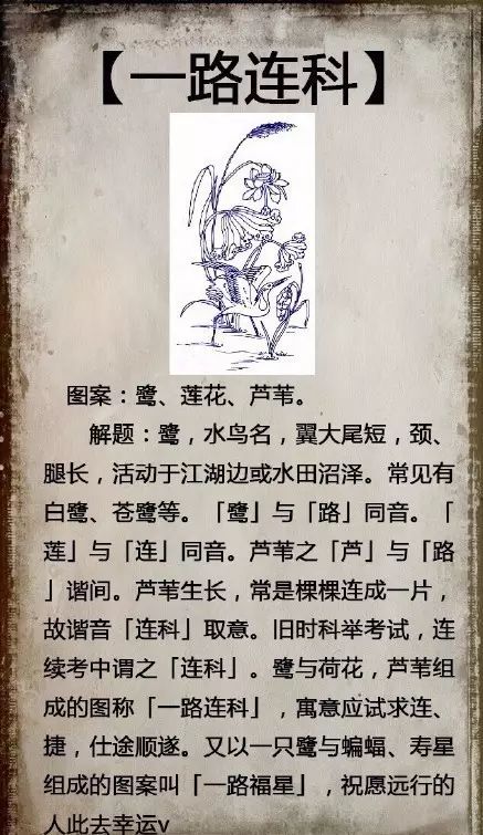 深度解析成语'龙之荣耀'的寓意与应用，探究其在中国传统文化中的独特地位和价值