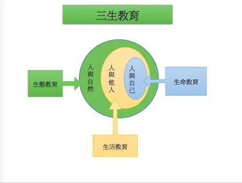 深度解析成语'龙之荣耀'的寓意与应用，探究其在中国传统文化中的独特地位和价值