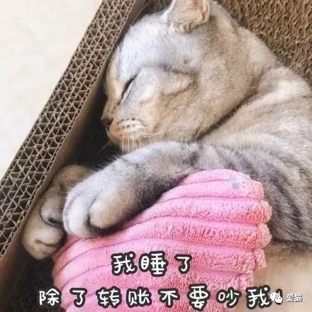 我家猫开的修仙中心：揭秘无限鱼干的神奇秘密与背后的万界修真奇遇