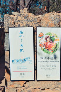 (桃花源记谜语)迷失在桃花源记中：一段难忘的蜜月之旅寻找心灵的净土