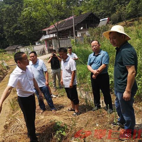 掌上生活：探索如何在手机上轻松管理日常事务与提升生活质量的方法