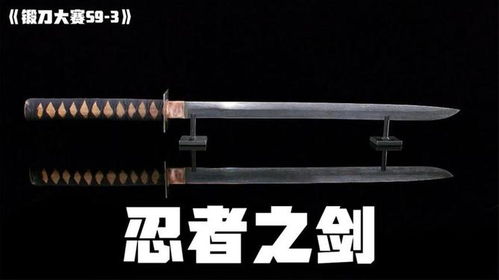 (剑杆出剑时间调整步伐)剑杆身水平如何？技艺高超还是初学者？