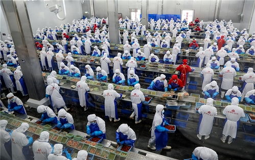 (潜江千分必打技巧视频)探索潜江千分加好友的秘密：如何轻松拓展社交网络与人脉