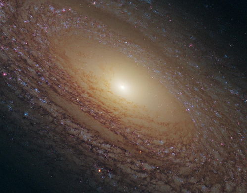 (紫微星在宇宙里)紫微星宇宙12月封印全部打开，宇宙秘密即将揭晓