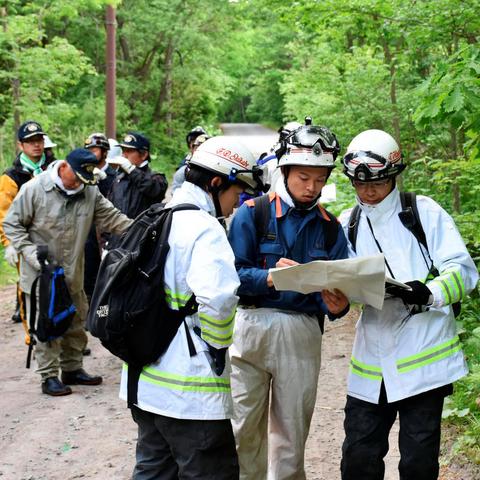 探寻原始时代熊出没的秩序：以生态环境变迁角度解析熊类动物的生活习性与生存挑战