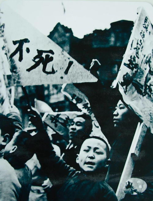 勇敢抗日英雄的感人故事：勇往直前，绝不低头，铭记历史，崇敬英雄。