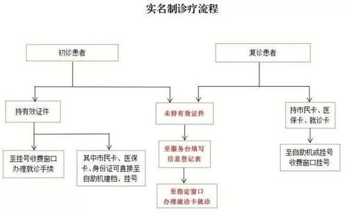 详述十三号病院攻略：从预约挂号到实地就诊，全方位解析医疗流程和注意事项