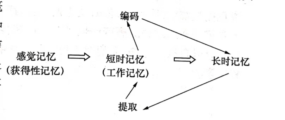 (记忆的力量2000字)探寻记忆的奥秘：记忆2.0的力量及其在现代科学中的应用和影响
